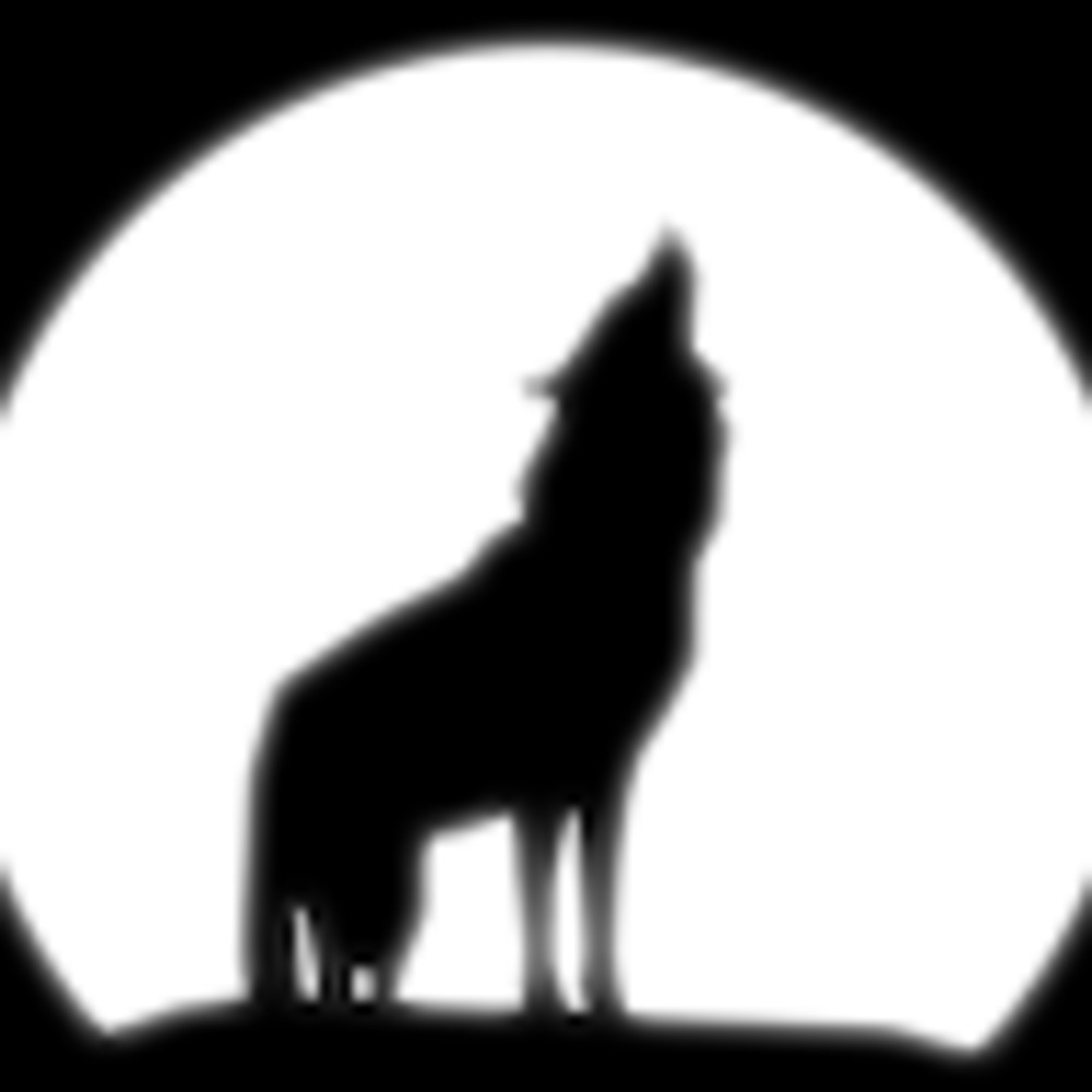 Meet your Posher, Bronda